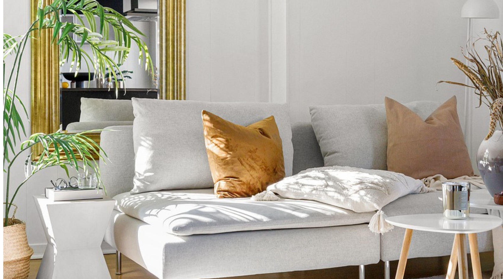 premium home furniture with polished finishes