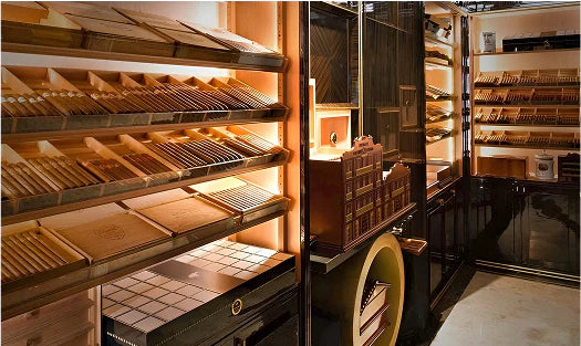 Quality Importers Trading Company LLC